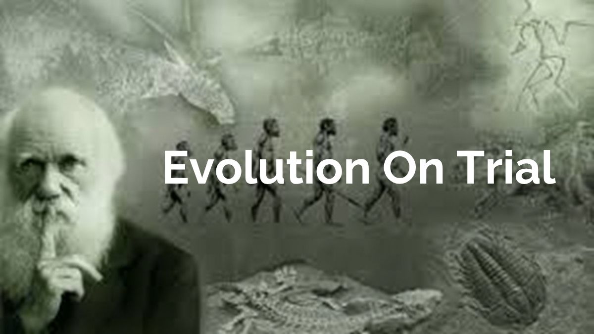 Evolution On Trial —Spring Session 1 Thursday Morning